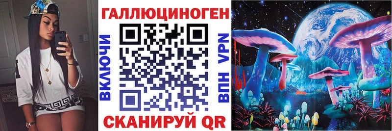 Галлюциногенные грибы Cubensis  Купить закладки  Канаш 